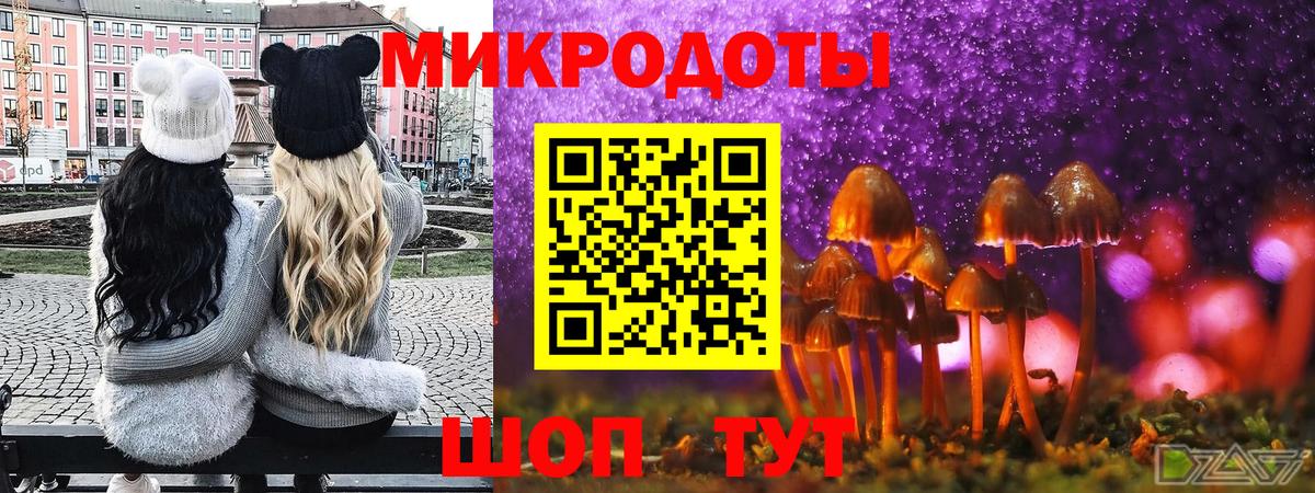 Ступино  Псилоцибиновые грибы MAGIC MUSHROOMS  Псилоцибиновые грибы GOLDEN TEACHER  где купить   Вход с VPN 